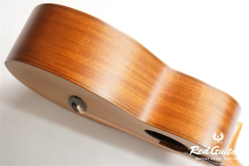 M20 Feather Bird [aNN-M20]